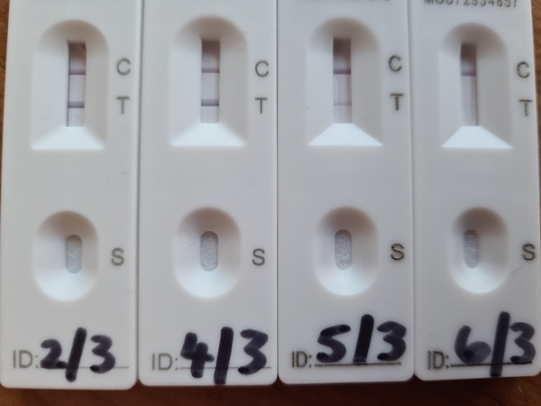 What are the chances we’ll be free at the weekend?