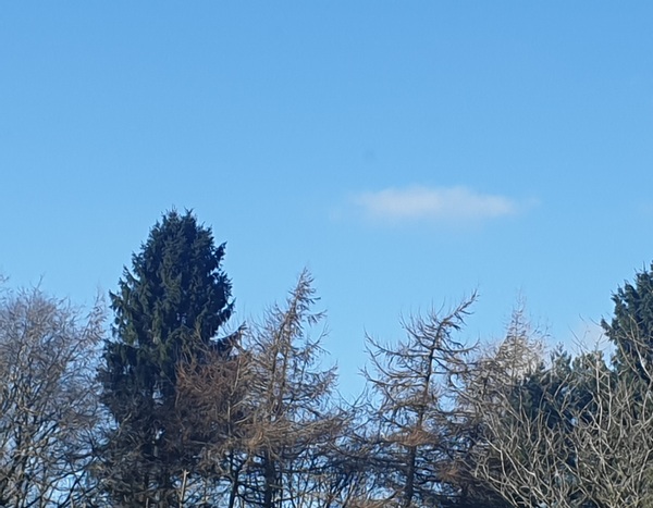 Nature Notes: the 2022 edition