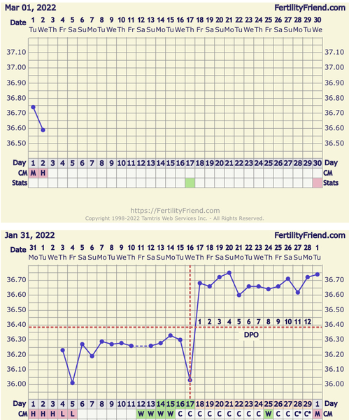 Experienced Tempers please help me with my BBT
