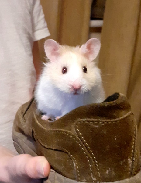 What little thing have you bought that you love?