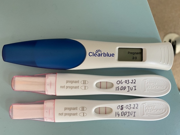 Fertility Appointments and Beyond.... the journey continues