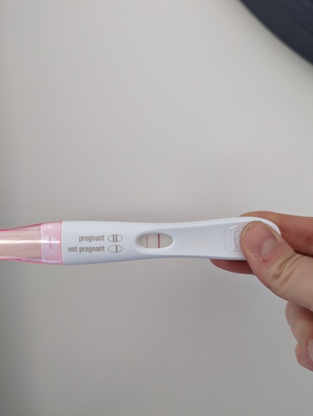 August 2021 - They've been here for half a year