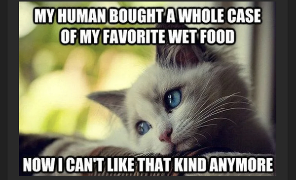 Puss Cat won't eat