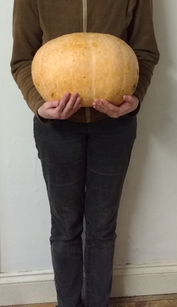 Swagger Inn 171.  Spring is just around the corner, but the HBFs still need their overcoats to keep us warm.