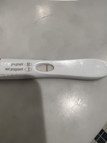 12DPO thoughts in this test please.