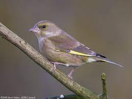 Nature Notes: the 2022 edition