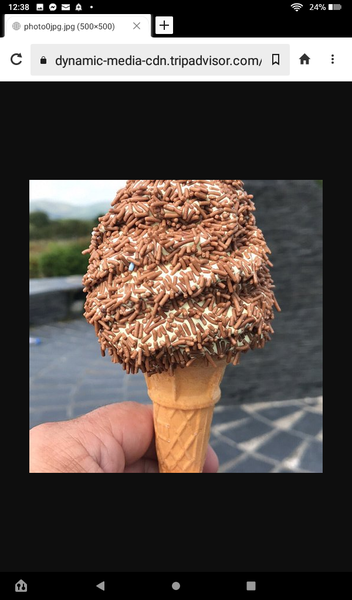 What's your favourite ice cream flavour or variety, brand etc ?