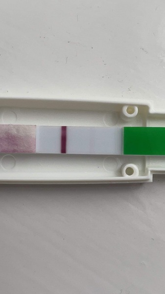Is this a fake test? Leaked dye? Evap line?