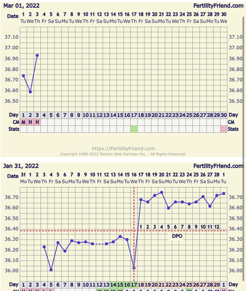 Experienced Tempers please help me with my BBT