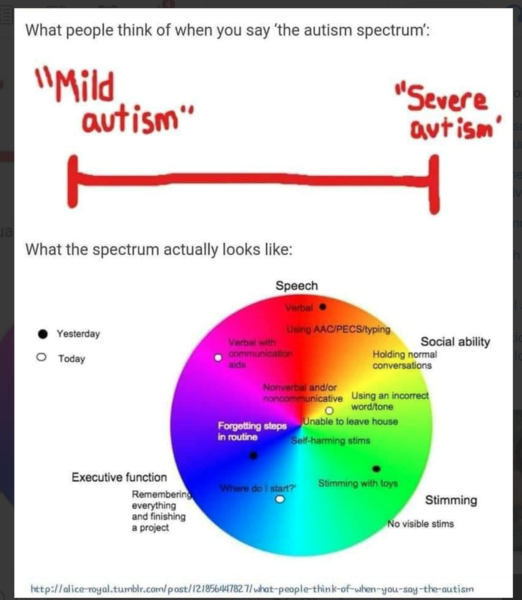 Autism. Friends ignorant comments.
