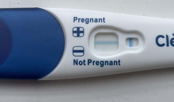 Pregnant or evap line?