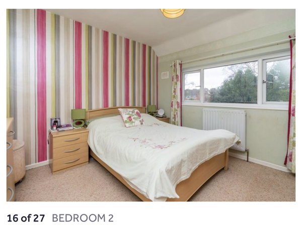 Rightmove house with a tortoise room!