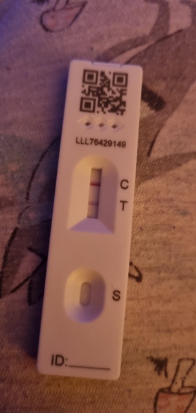 Due September 2022 (Thread 4)