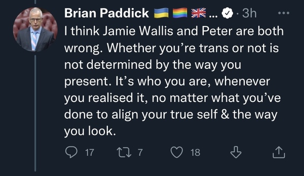 MP comes out as transgender