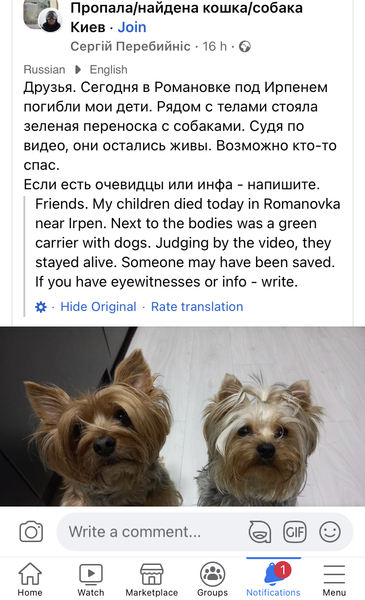 Which Ukrainian animal charities should I donate to please?