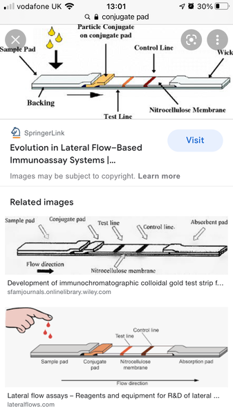 False positive- drops went in both LFT ‘windows’
