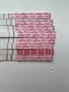 Heavy/clotty implantation bleeding or full period first month of pregnancy?