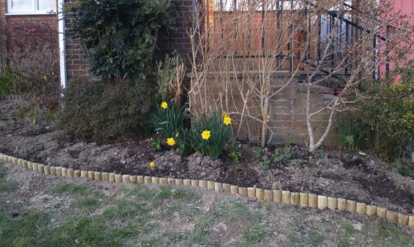 Would you like to help me plan my new border?
