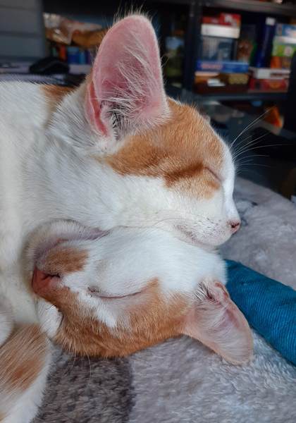 Brexit mega thread 7 : global Britain is looking rather insignificant.....