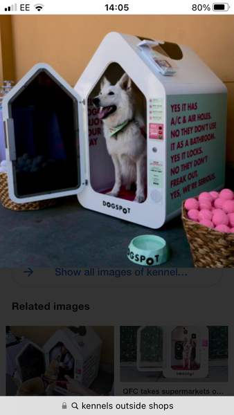To think those that take their dogs shopping are selfish?