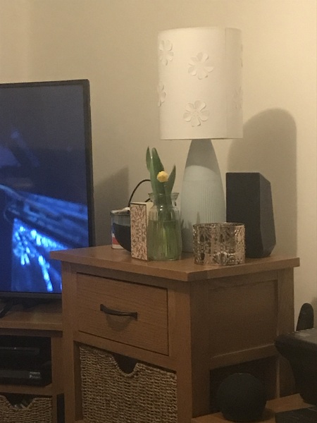 Not my cats and friends
