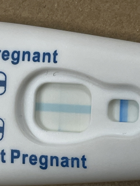 Is this a fake test? Leaked dye? Evap line?