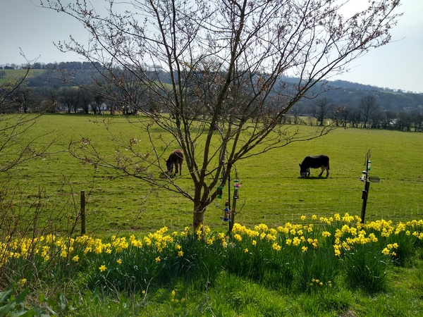 Frugal fun in February - the one with the Spring spring