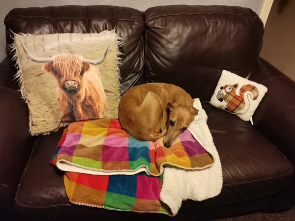 Oldies Appreciation Thread: Snoozing through the day