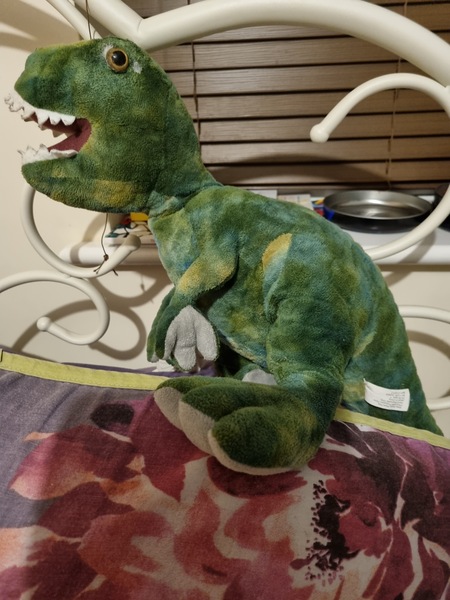 Please help me find Derek!