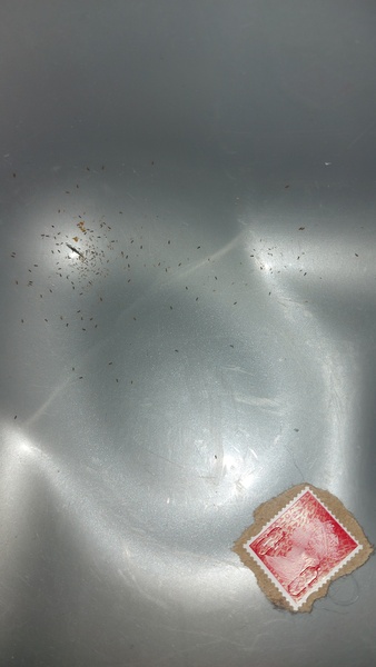 What are these?