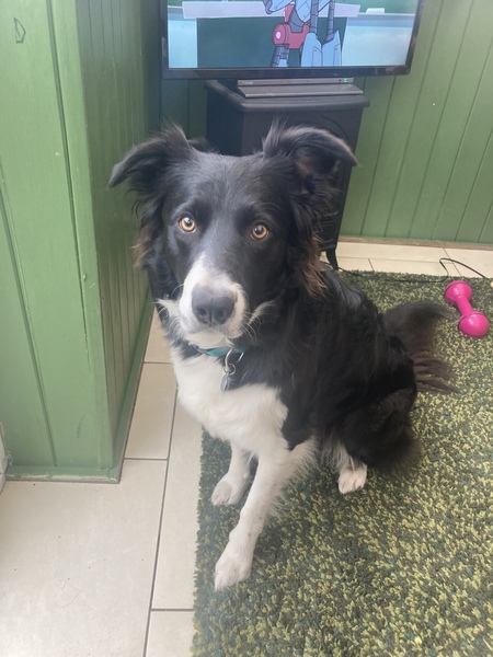 Why We Eat (Too Much) Thread 5