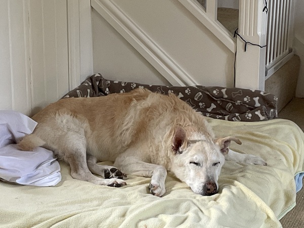 Oldies Appreciation Thread: Snoozing through the day