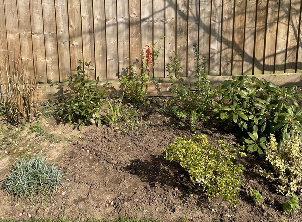 Border help please