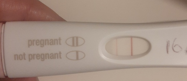 Help! Hoping this is a positive??