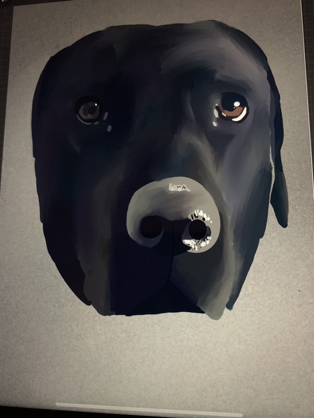 Puppy Survival Thread: muddy footprints into Spring 2022