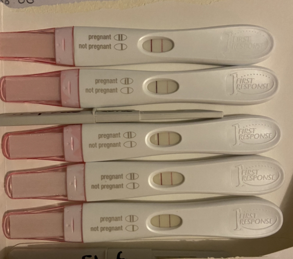 Due late Oct 🎃 - early Nov 🎉