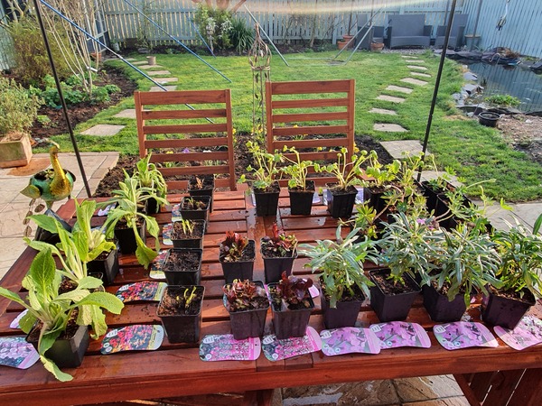 Anyone bought the secret gardening club goodwill pass?