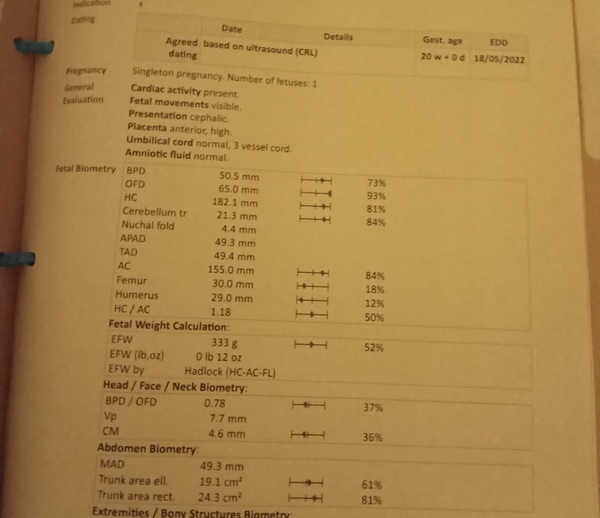 Fetus' femur measurements