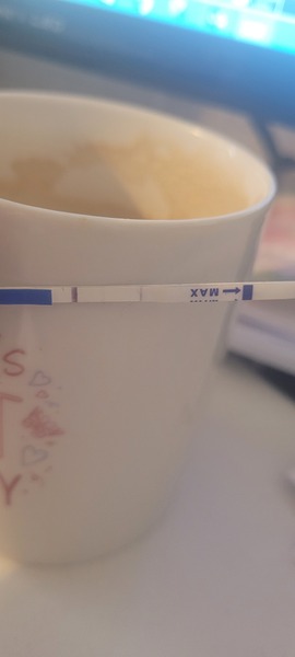 Help is their a faint line on pregnancy test