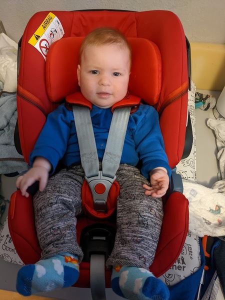 August 2021 - They've been here for half a year