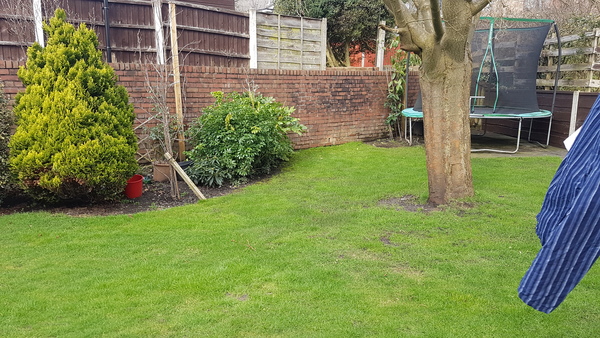 Space Behind Garden office - keep paving or remove?