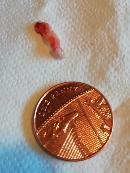 Is this about to blow?