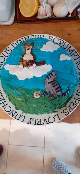 To not make the cake DS wants?