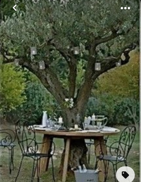 Advice needed re seating area under neighbour's tree