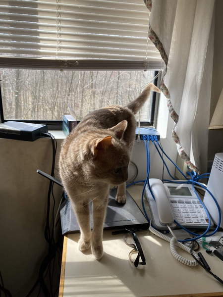 Come and tell me your dull and unexciting news 22: Calmly through the day