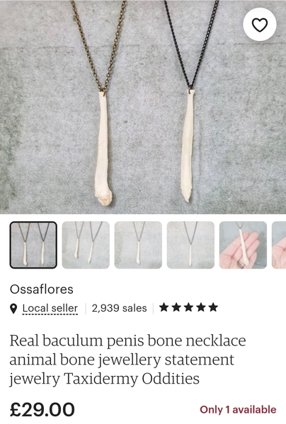 I've just found the world's most disgusting earrings