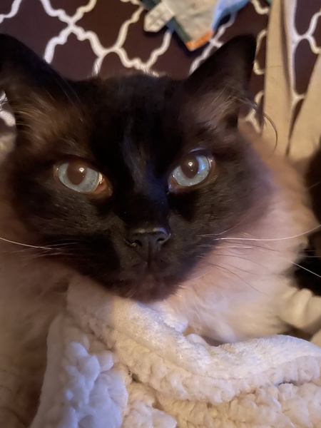 Bring us your worries, big or small!  The nightshift will hold them so you can sleep