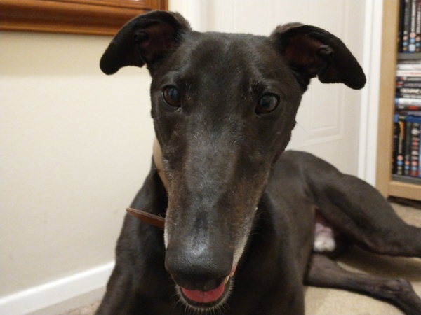 The mumsnet annual winter weather watch thread