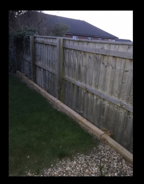 Neighbors and fence...