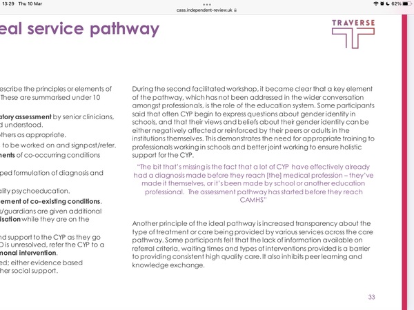 The Cass Review- Interim Report